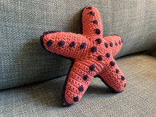 Load image into Gallery viewer, Handcrafted Crochet Starfish